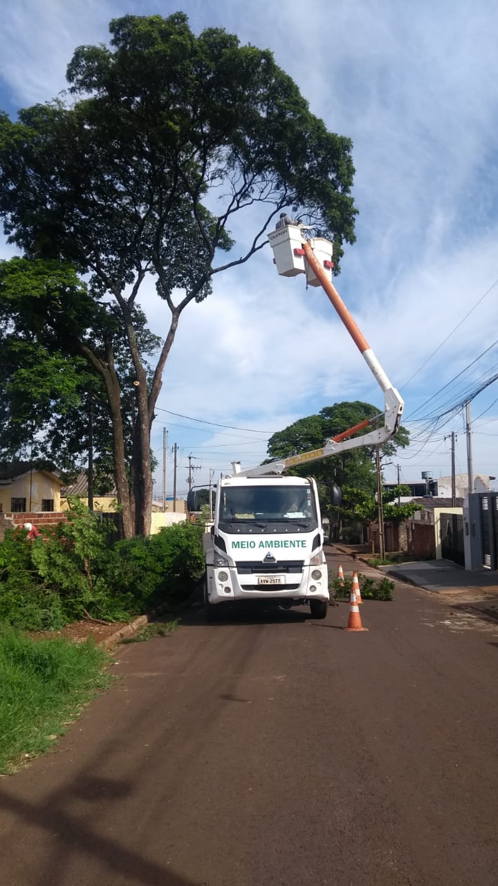 Secretaria de Saneamento e Meio Ambiente de Sarandi libera poda de 215 árvores em toda cidade